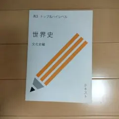 高3 トップ＆ハイレベル 世界史 文化史編 スタディサプリ