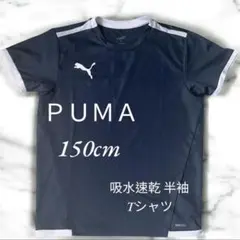 PUMA プーマ Tシャツ DRYCELL 吸汗速乾 スポーツ　150 キッズ