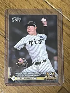 猛虎襲来様 リクエスト 4点 まとめ商品