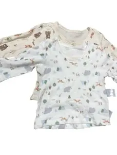 Item thumbnail for item 113efe0d-727b-4c71-a160-6b6992d2e02e