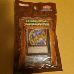 ブラックマジシャンガール キャラクターグッズ