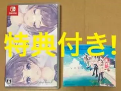 特典付 VOEZ ヴォイズ Nintendo Switch スイッチ 動作確認済