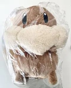 ボタンのイーブイリュック　ポケモンセンター　イーブイ　リュック