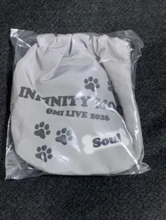 INFINITYMOON 登坂広臣ØMI 巾着　マスコット