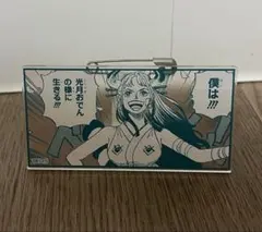 2026年最新】アクリルバッジスタンドコレクション ワンピースの人気