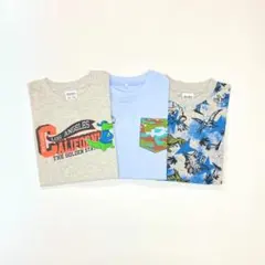 子供服 男の子 長袖Tシャツ まとめ売り 110cm 新品 恐竜 FWN133