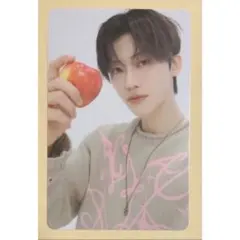 SMTOWN Family トレカ NCT DREAM ジェミン - メルカリ
