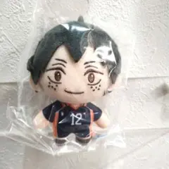 山口忠　ぬいぐるみマスコット　セガラッキーくじ　ハイキュー！！