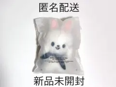 Stray Kids マグネットキーリング　リービット