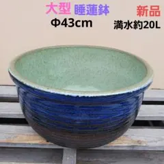 新品 特大51 陶器睡蓮鉢 メダカ鉢 難有 エメラルドグリーン 緑黒 高級