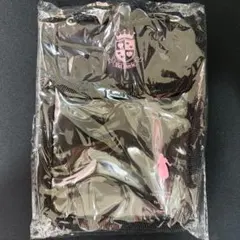 LIVE DVD 2006 堀江由衣をめぐる冒険 購入特典 ポーチ【未開封品】