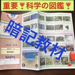 ㉑い 希少未記入 サピックス SAPIX 5年 理科 サマーサピックス 夏期