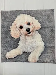 トイプードルプリントクッションカバー〔新品未使用〕