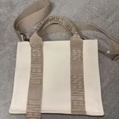 zara ザラ　2wayホワイトキャンバスミニトートバッグ