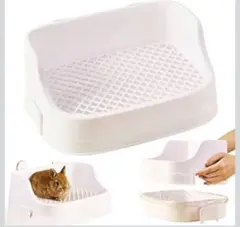 Item thumbnail for item 75e862d4-25d3-4c7a-9299-4fa6fdd10859