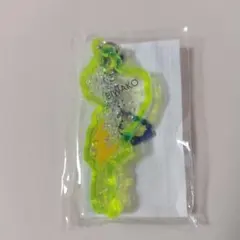 琵琶湖キーホルダー　イナズマ　イエロー