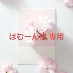 ばむーん@プロフは必読です！様 専用