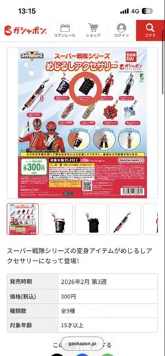 スーパー戦隊シリーズ めじるしアクセサリー　マスターライセンス