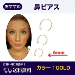 ゴールド ボディピアス ノストリル 鼻ピアス リングピアス 20G 6mmのサムネイル