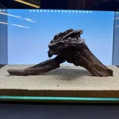 MRW-7448 自立赤系天然流木 アーチ流木 アクアリウム - メルカリ