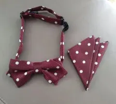 コムサイズム　 蝶ネクタイとポケットチーフセット