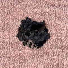 Item thumbnail for item 032d8aae-94d4-4a98-bc4d-f7b91bd78a09