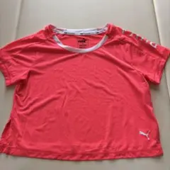 PUMA トレーニングウェア ピンク