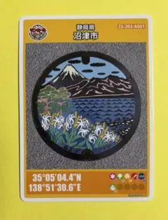 マンホールカード 静岡県沼津市A 007