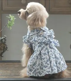 LAURA ASHLEY リボンワンピースのサムネイル