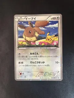 セブンイレブン限定！ポケモンカードBWスペシャルキラカード『イーブイ