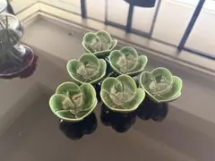 綺麗な小皿セット♡