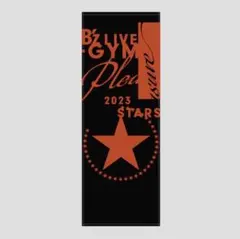 B'z プレミアム席 グッズ STARS スターズ pleasure プレジャー - メルカリ