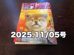 小学館 ビッグオリジナル 2025.11/05号