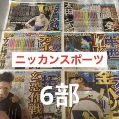 大相撲　安青錦　目黒蓮　木村拓哉　フィギュアスケート　プロ野球　嵐　堂本光一