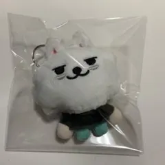 プルバトゥ　TOMORROW X TOGETHER　スビン TOMORROW X TOGETHER公式キャラクター'PPULBATU(プルバトゥ