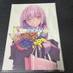 SSSS.GRIDMAN ヒロインアーカイブ　お疲れさま本　セット Amazon.co.jp: SSSS.GRIDMAN ヒロインアーカイブ アカネ&六花