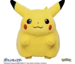 新品　ポケモン30周年記念おかえり!ピカチュウ1/1