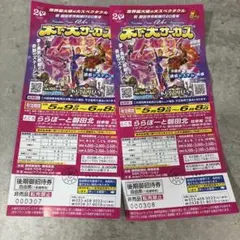 木下大サーカス 磐田公演 後期招待券 2枚セットのサムネイル