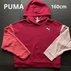 Item thumbnail for item 38324862-d0a4-47c8-b037-4aa9e8fc7cc8