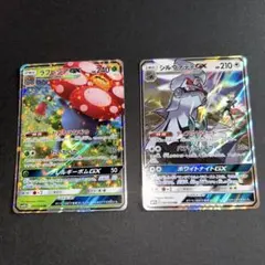 SKN　ラフレシアGX シルヴァディGX HR8枚セット 2025年最新】ラフレシアgxの人気アイテム - メルカリ