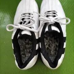 ♥超2激安ミズノゴルフシューズ ホワイト