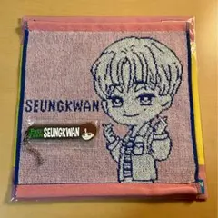SEVENTEEN 一番くじ Petiteen スングァン SEUNGKWAN