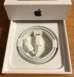 Apple Lightningケーブル