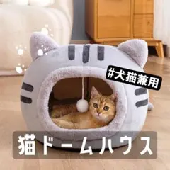 Item thumbnail for item e2e58c51-0323-425a-8cba-aa26b6e945ac