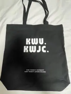 Item thumbnail for item 181984eb-132c-4681-b116-62a381492487