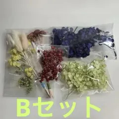 ✳️プリザーブドフラワー 詰め合わせ Ｂ