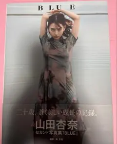 山田杏奈 セカンド写真集 BLUE セブンネット　限定　初版発行