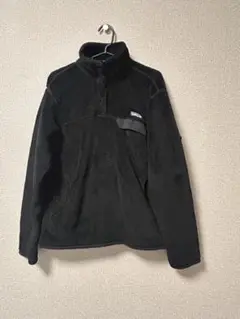 patagonia リツール スナップティー