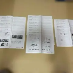 2026年最新】知識の総完成 サピックスの人気アイテム - メルカリ