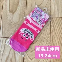【新品未使用】靴下 19-24cm チシャ猫